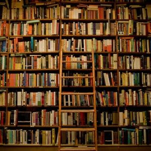 Mais livros para a noiva alimentar seu vício literário